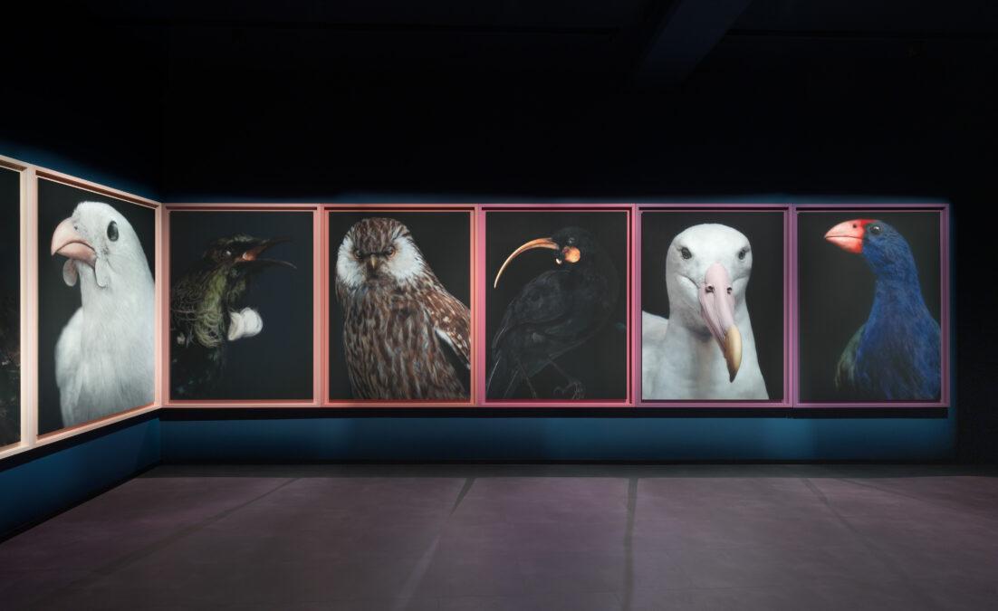 Taharaki-Skyside-Installation-right-wall-Photography-By-Neil-Pardington-1.