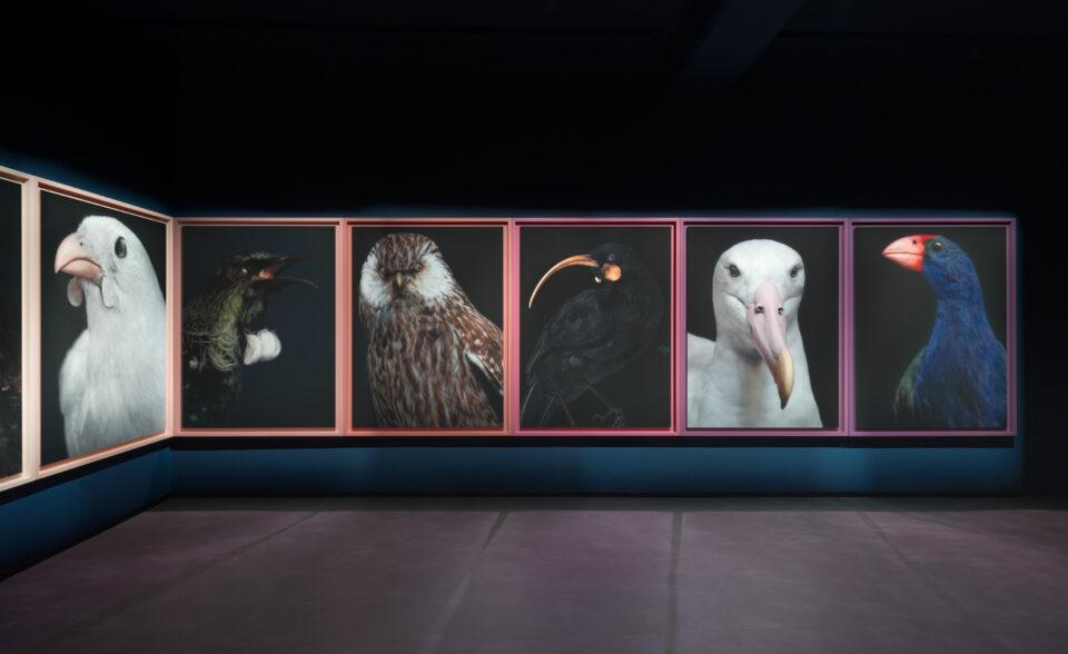 Taharaki-Skyside-Installation-right-wall-Photography-By-Neil-Pardington-1.