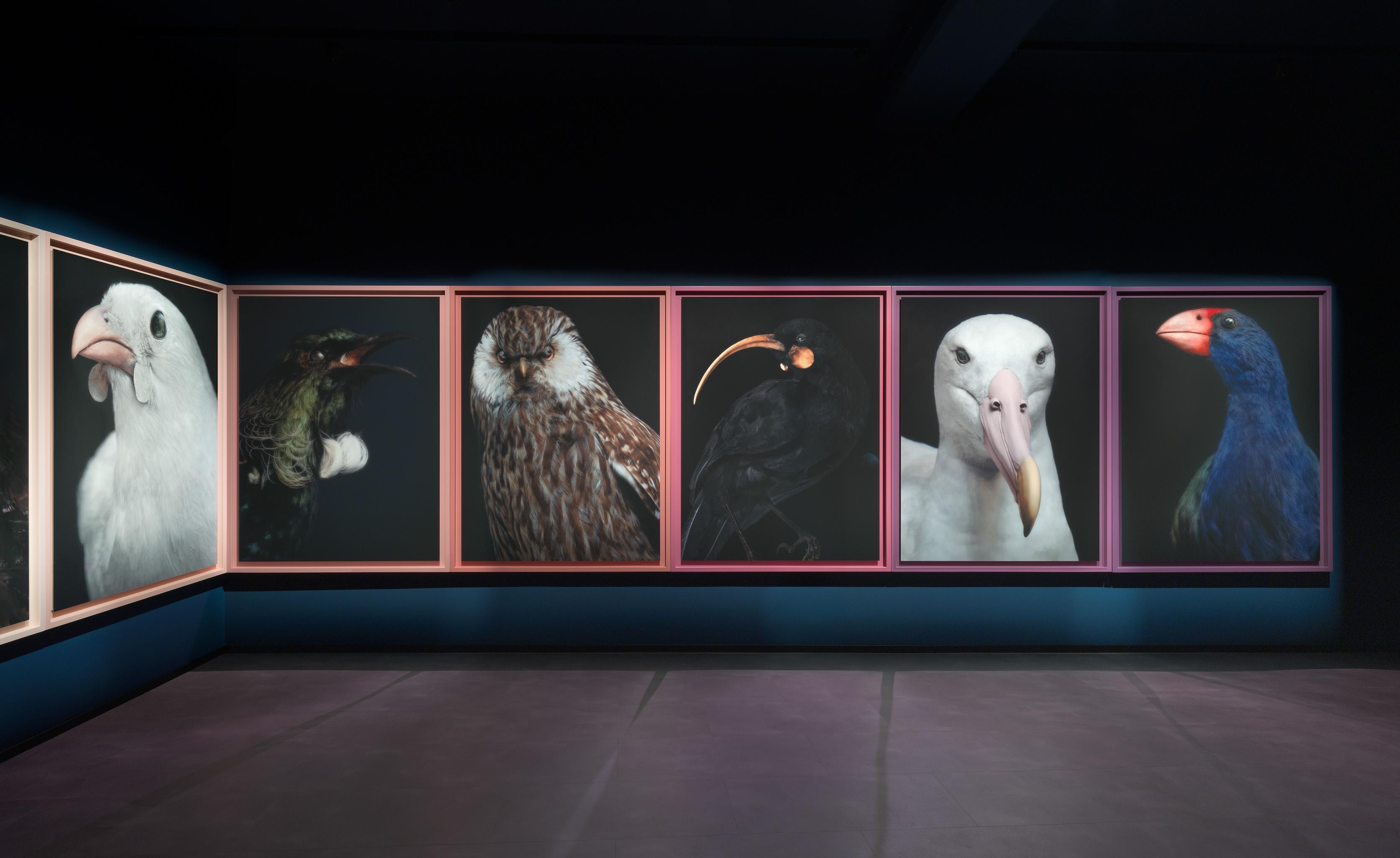 Taharaki-Skyside-Installation-right-wall-Photography-By-Neil-Pardington-1.